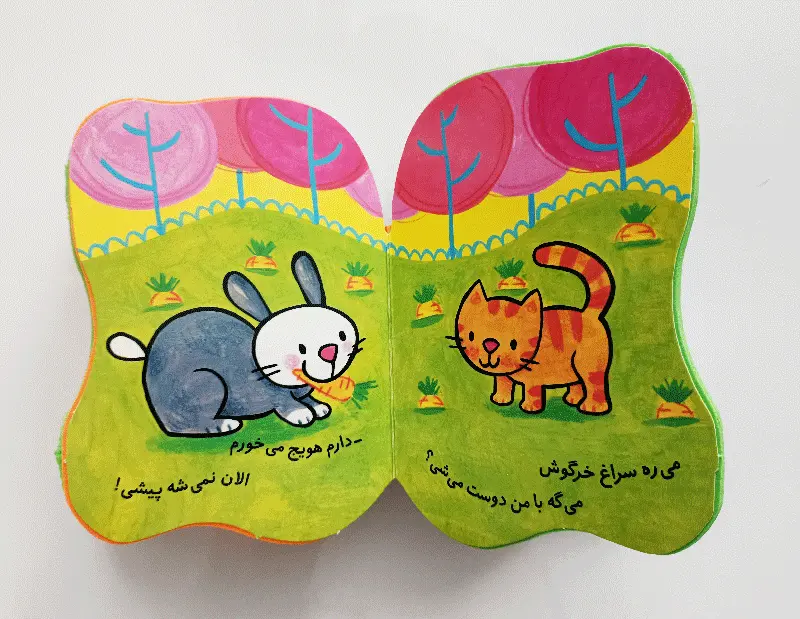 کتاب فومی | پیشی دلش دوست میخواد - تصویر 3